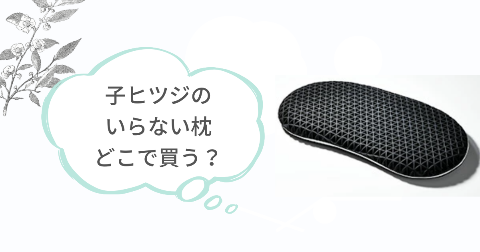 子ヒツジのいらない枕はどこで買う?取扱店舗を調べてみた