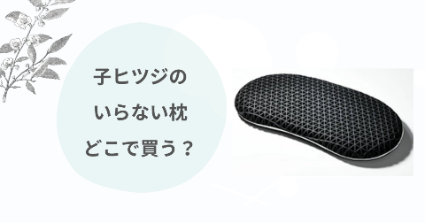 子ヒツジのいらない枕どこで買う？取扱店舗と安く買う方法3選を解説